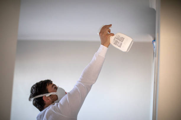 Best Mold Testing  in Navarre, OH