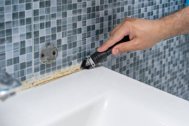 Best Mold Remediation Experts  in Navarre, OH