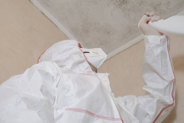 Water Damage Restoration in Navarre, OH